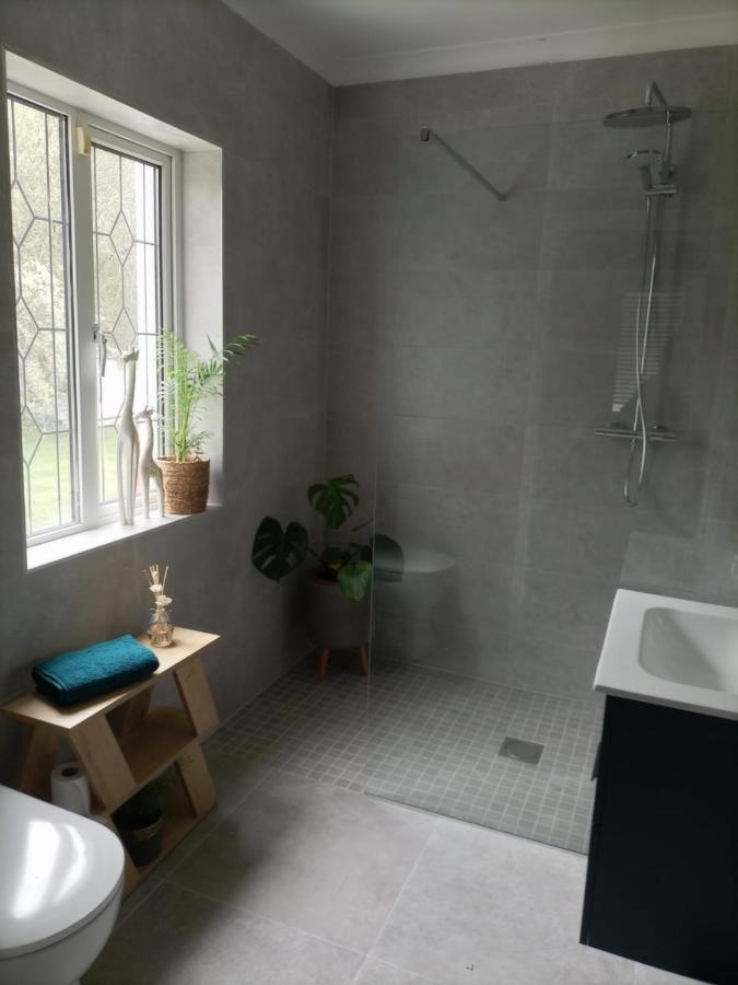 Rosslare Harbour Applelea House Bed & Breakfast エクステリア 写真