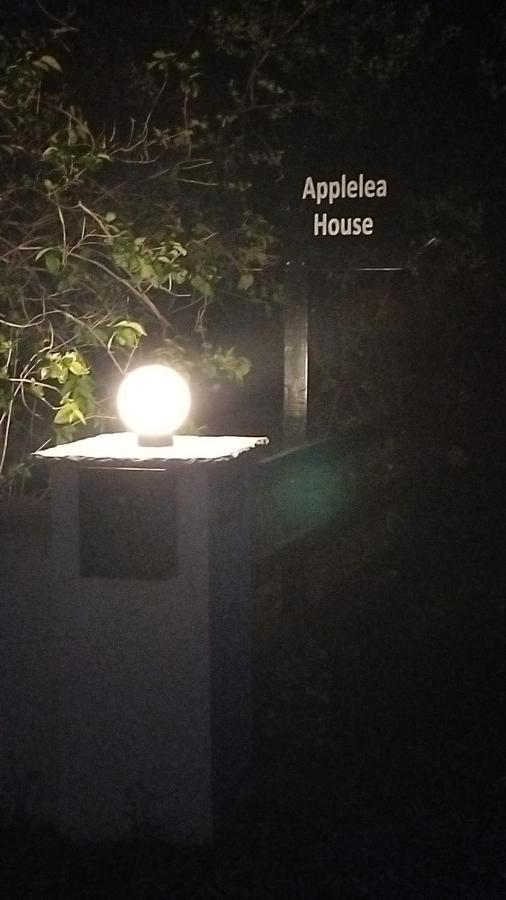 Rosslare Harbour Applelea House Bed & Breakfast エクステリア 写真